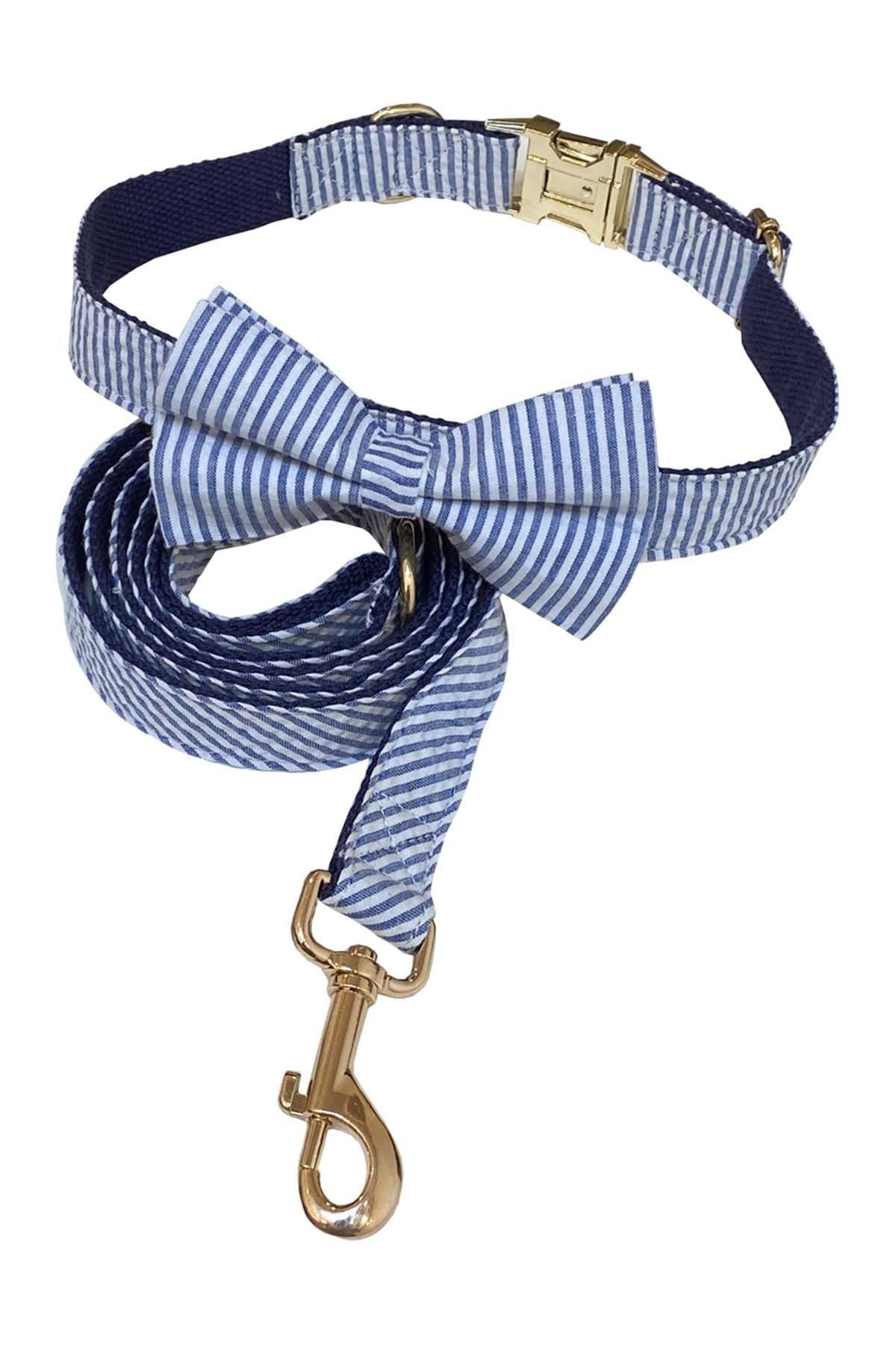 Striped Blue Collar & Leash Set P126
