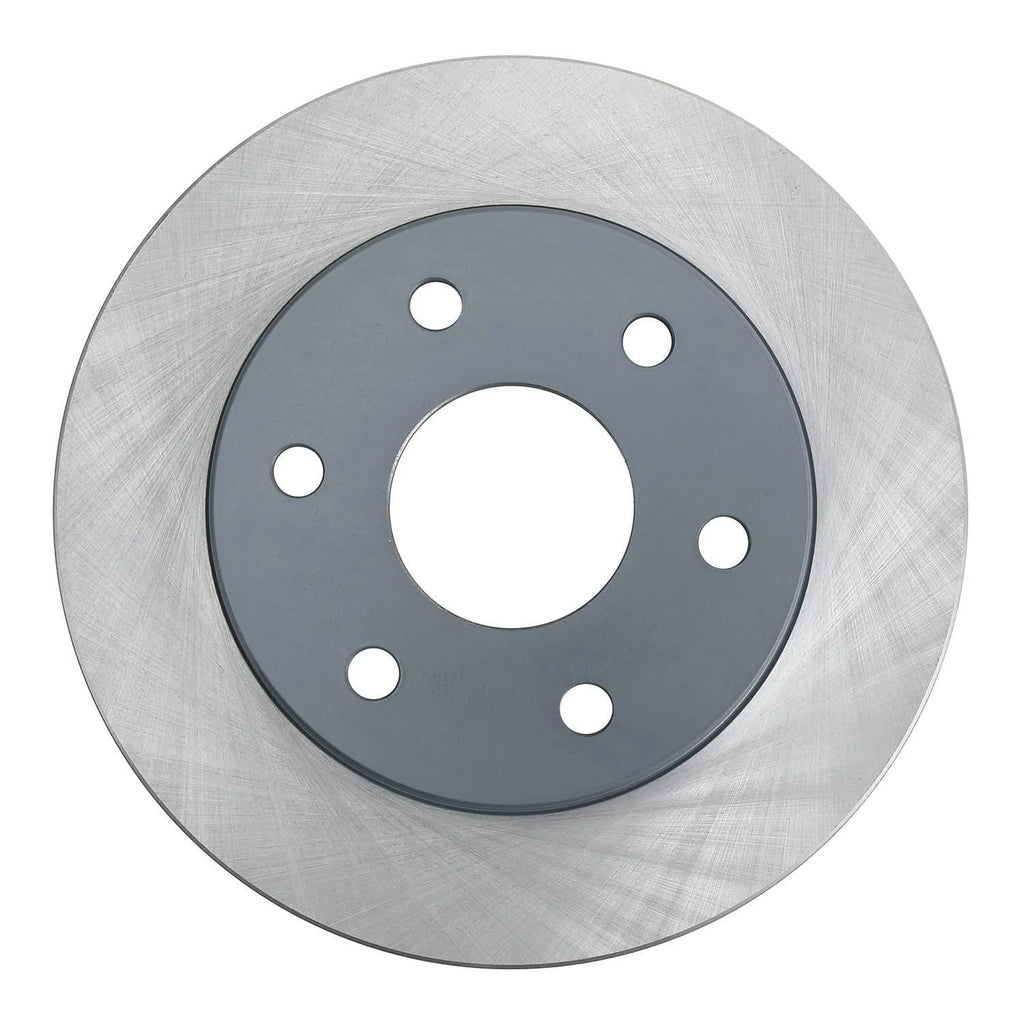Painted Brake Rotor W373678