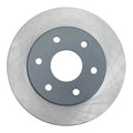 Painted Brake Rotor W373678