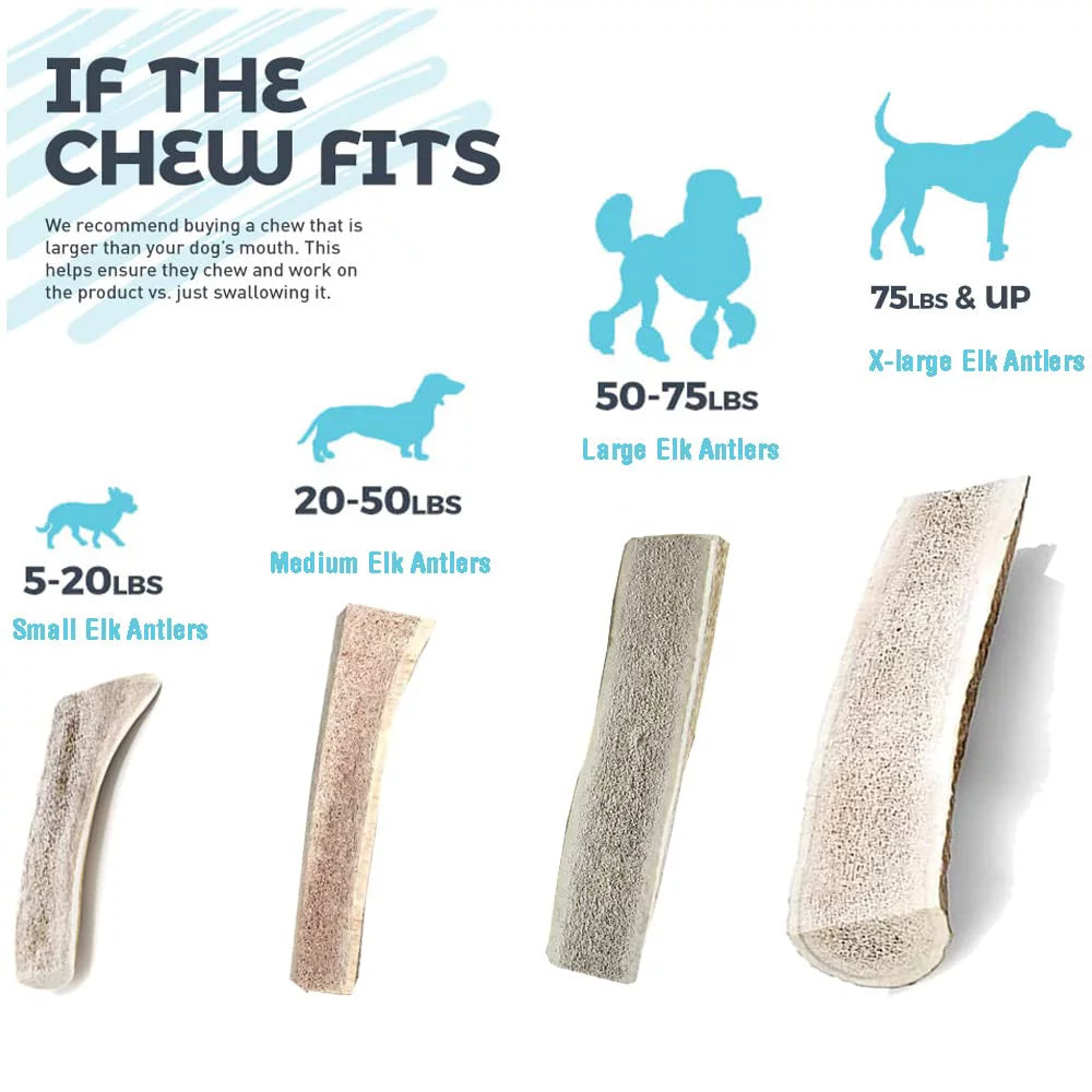 Small Split Elk Antler Dog Chews 3 Pack G5260