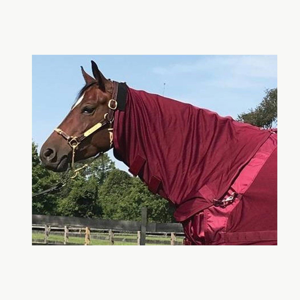 Mesh Horse Neck Cover M1483