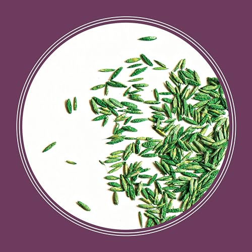Tall Fescue Grass Seed Mix 7 lb S2109