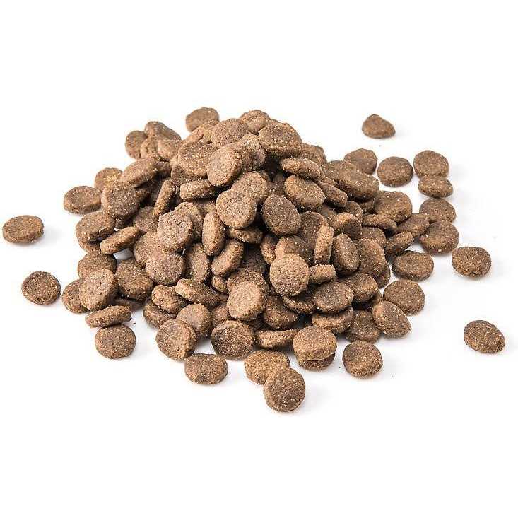 Dog Food I4531