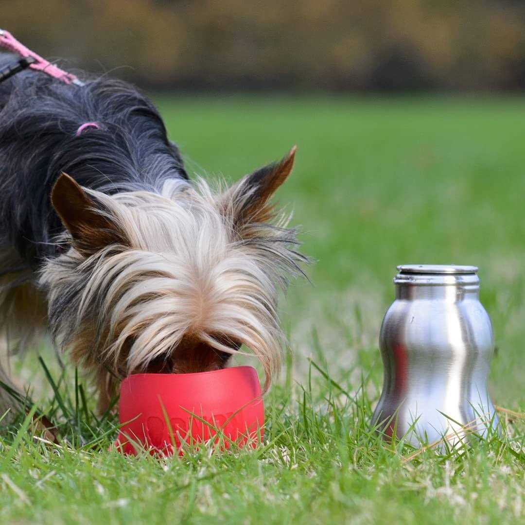 Stainless Steel Dog Water Bottle V93143