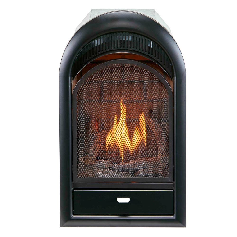 Dual Fuel Ventless Fireplace Insert, 15,000 BTU, Brick Liner S417