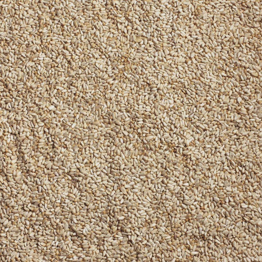 Pet Supplies V733874