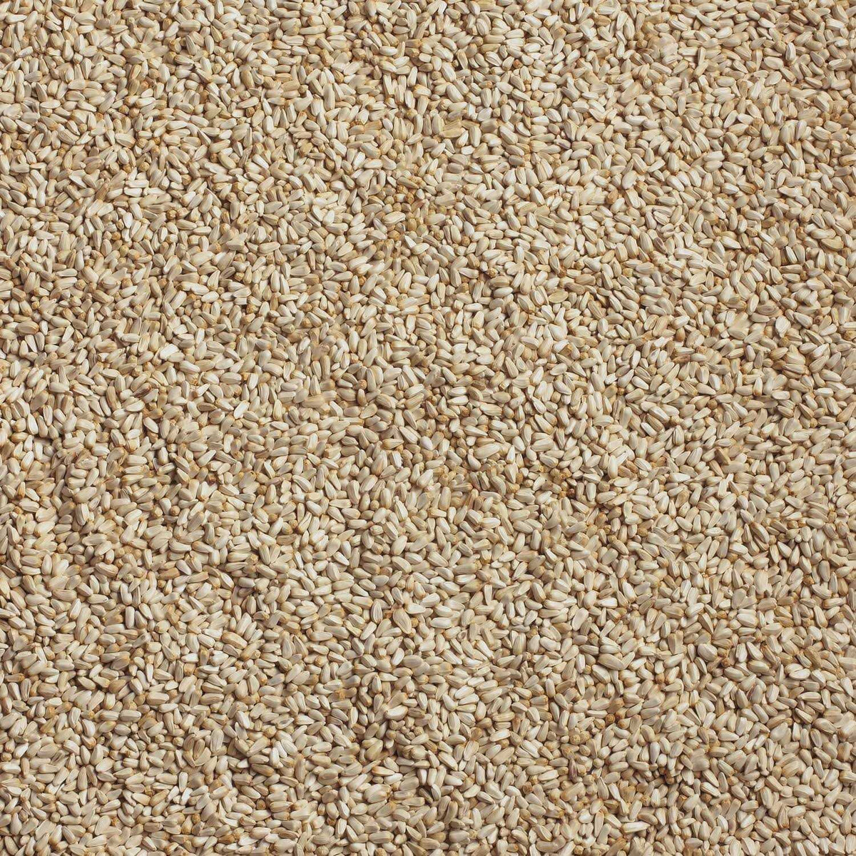 Pet Supplies V733874