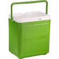 Green 16 qt Portable Cooler M7571