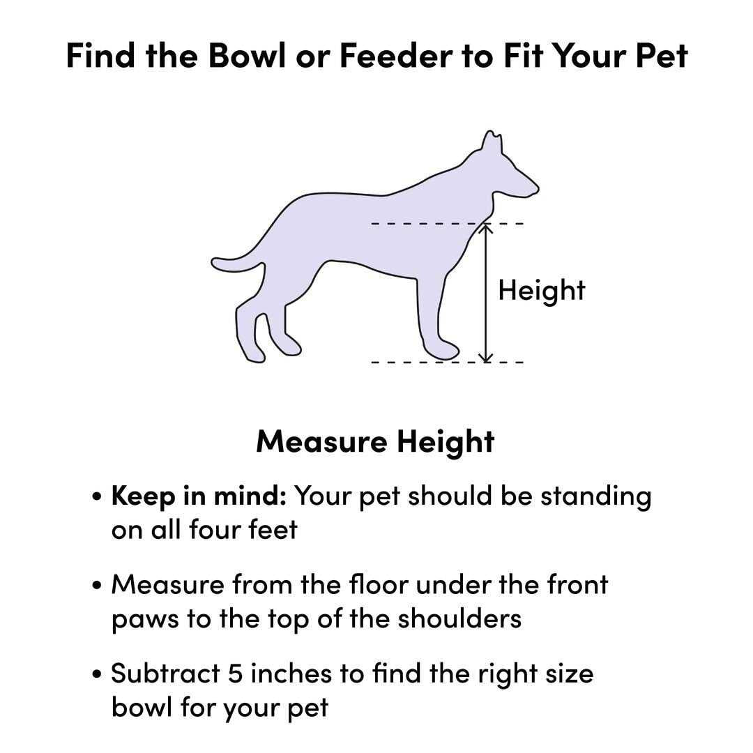 Pet Fountain W3819