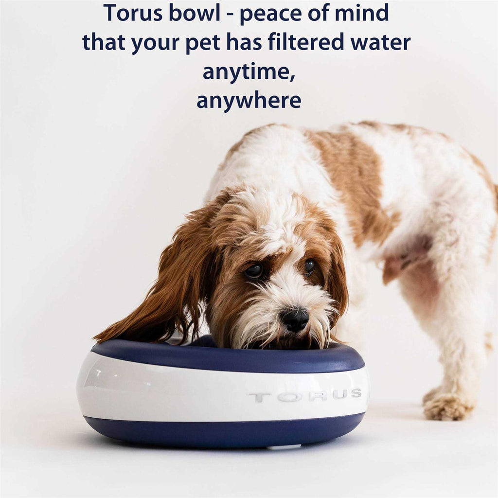 Filtered Water Bowl 2-Liter W70302