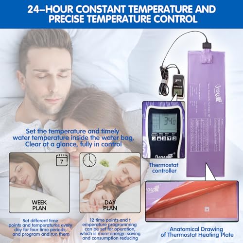 PVC Softside Water Bed with Smart Thermostats King W726581