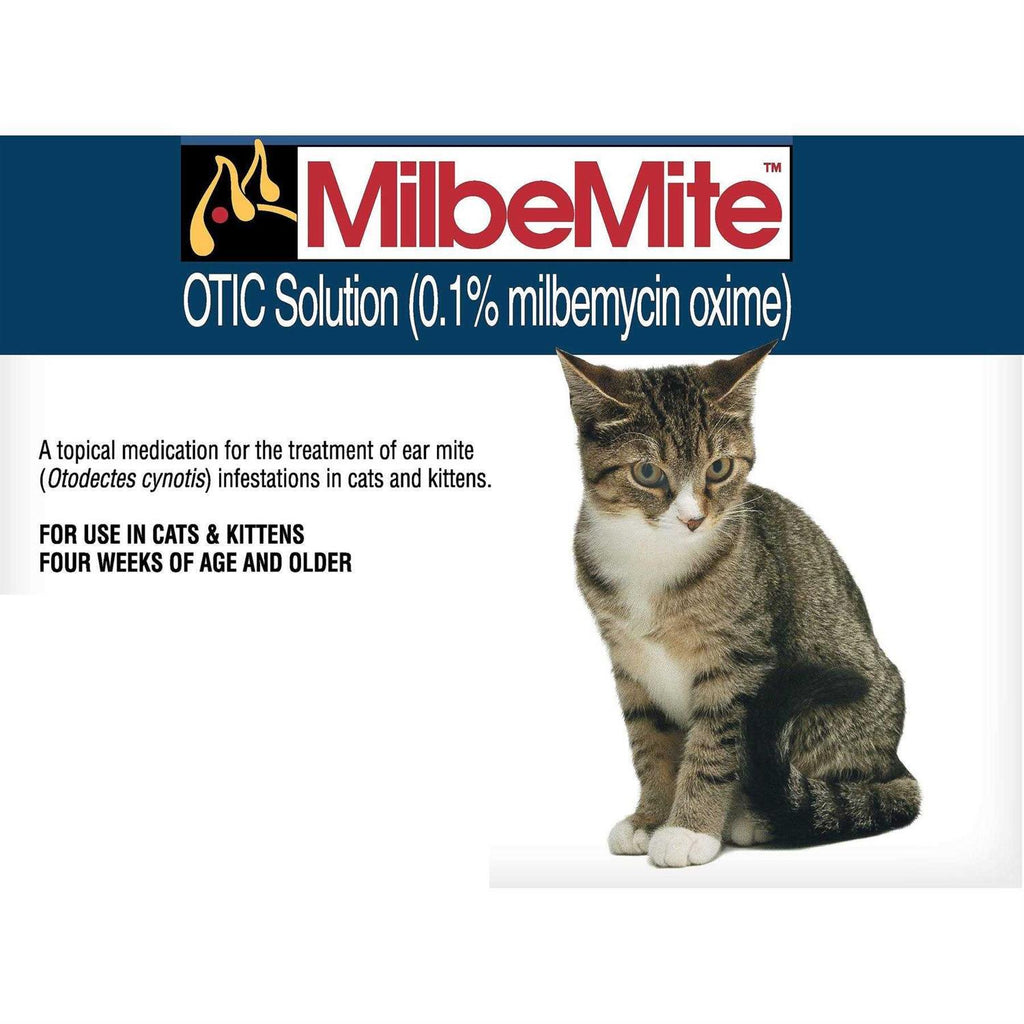 Otic Solution for Cats B7442
