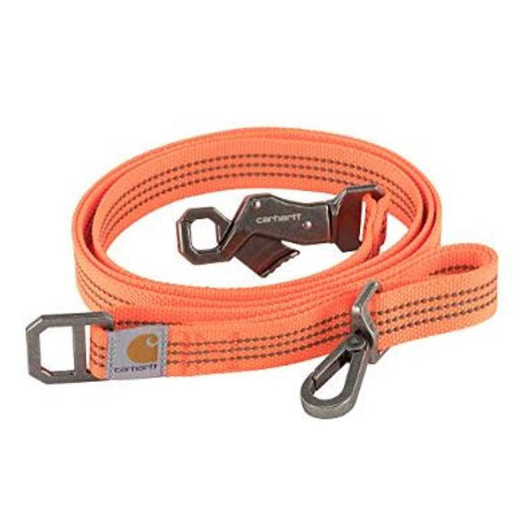 Dog Leash P260549