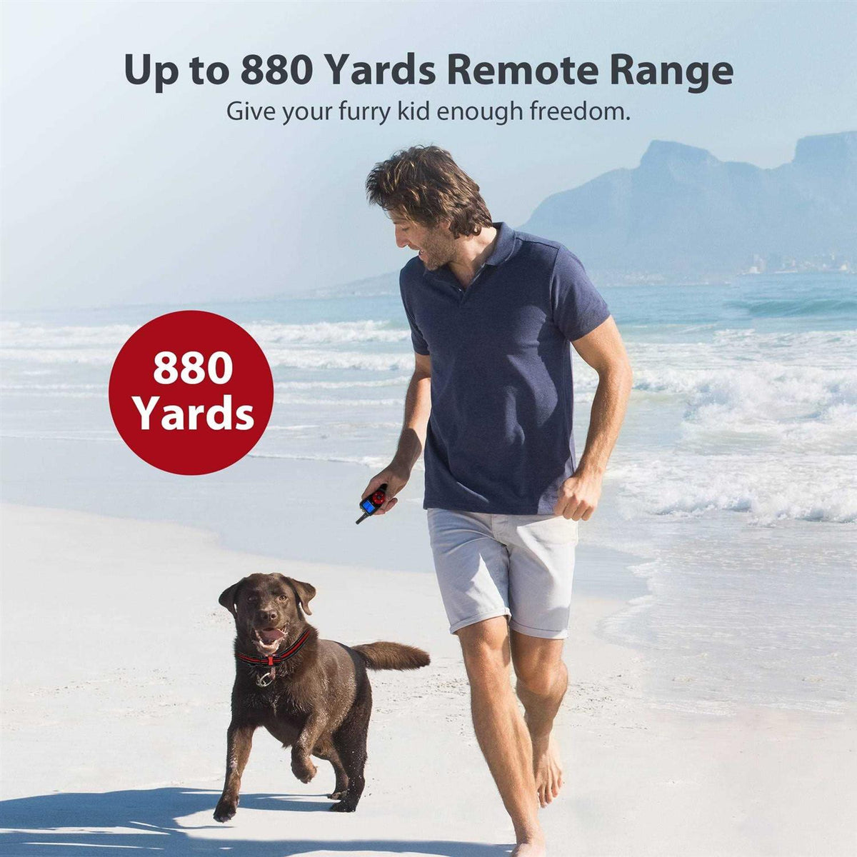 Remote Dog Training Shock Collar System N30426