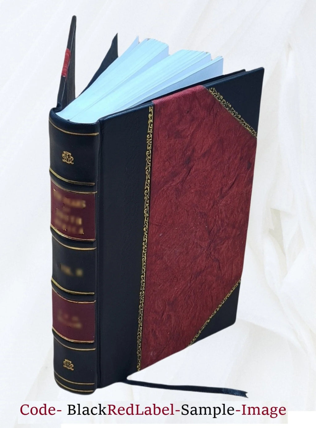 General Botha, the career and the man 1916 [Leather Bound] O483757
