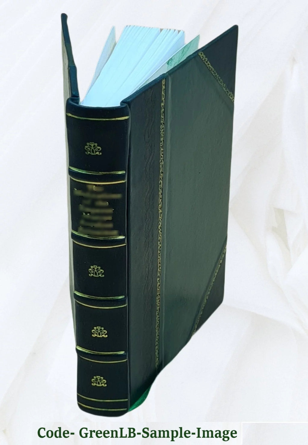 Leather Bound Book B47861