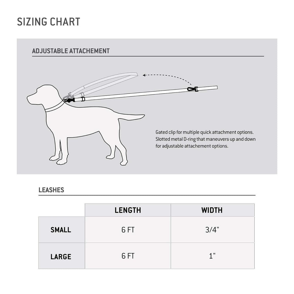 Dog Leash P260549